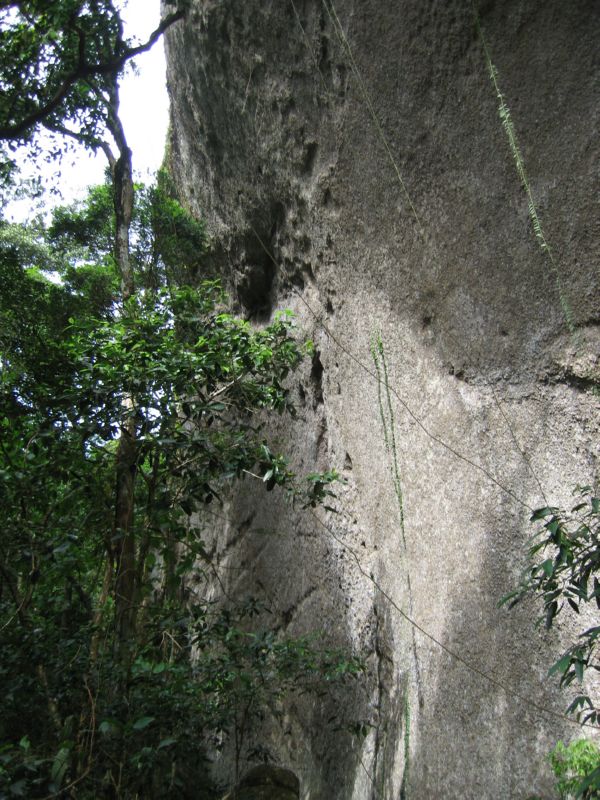 Papagaio (18) Nice rock climbing